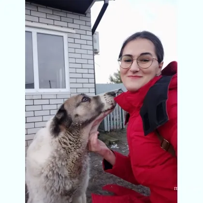 Нежные поцелуи и расслабляющие прикосновения для тебя