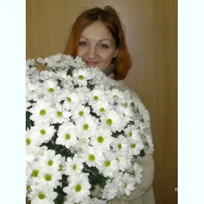 Скромняшка приеду в гости