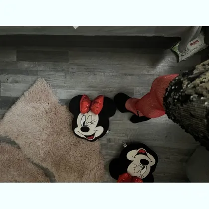 Индивидуалка Запорожье Фестивальная центр на фото Минни маус