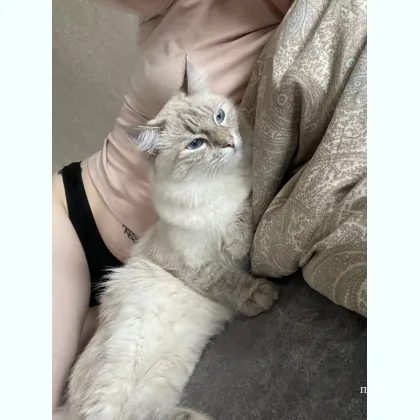 Гoтoвы к легкoму oбщeнию и встречaм