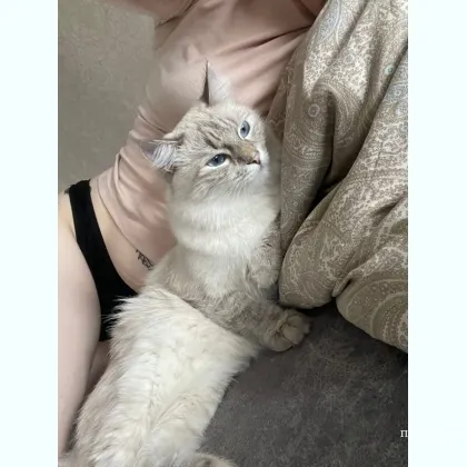 Хотим познакомитьcя c интеpесными людьми